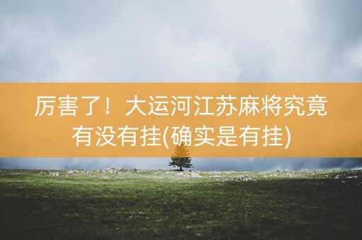 厉害了！大运河江苏麻将究竟有没有挂(确实是有挂)