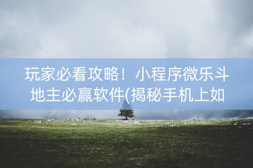 玩家必看攻略！小程序微乐斗地主必赢软件(揭秘手机上如何让牌变好)