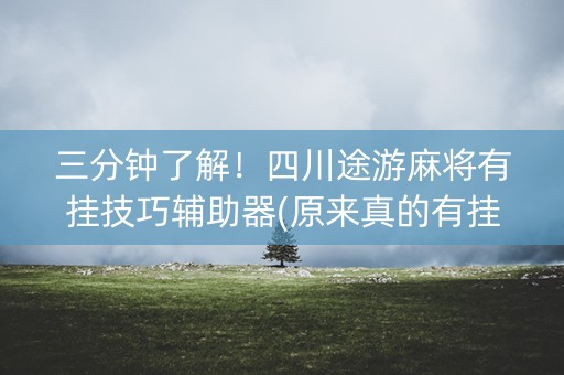 三分钟了解！四川途游麻将有挂技巧辅助器(原来真的有挂)