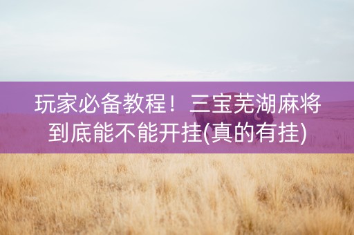 玩家必备教程！三宝芜湖麻将到底能不能开挂(真的有挂)