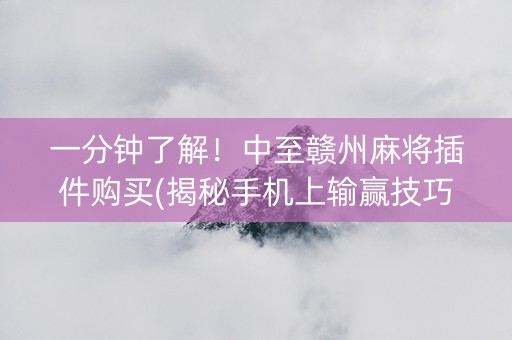 一分钟了解！中至赣州麻将插件购买(揭秘手机上输赢技巧)