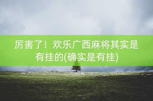 厉害了！欢乐广西麻将其实是有挂的(确实是有挂)