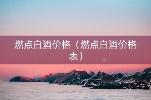 燃点白酒价格（燃点白酒价格表）