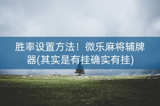 胜率设置方法！微乐麻将辅牌器(其实是有挂确实有挂)