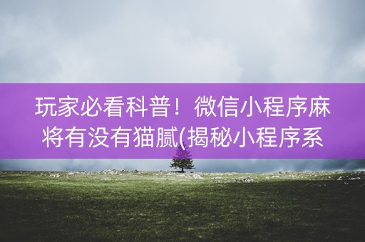 玩家必看科普！微信小程序麻将有没有猫腻(揭秘小程序系统发好牌)