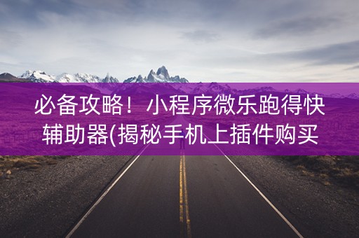 必备攻略！小程序微乐跑得快辅助器(揭秘手机上插件购买)