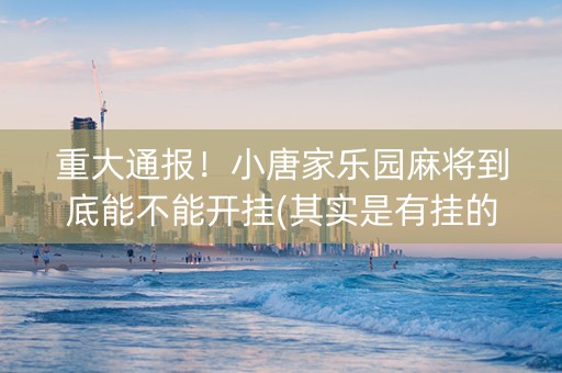 重大通报！小唐家乐园麻将到底能不能开挂(其实是有挂的)