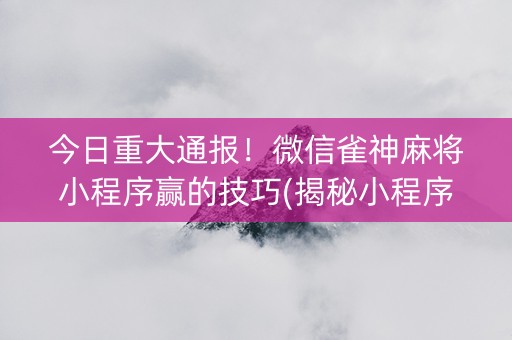今日重大通报！微信雀神麻将小程序赢的技巧(揭秘小程序如何让牌变好)