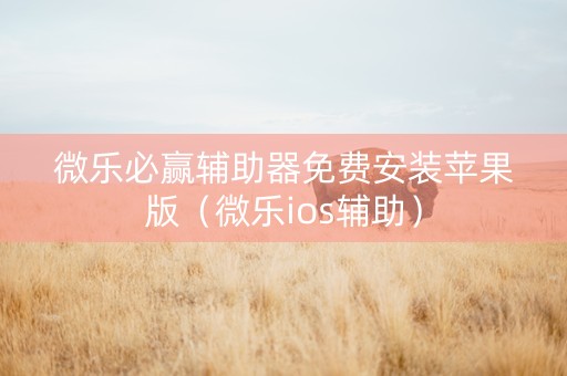 微乐必赢辅助器免费安装苹果版（微乐ios辅助）