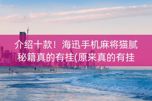 介绍十款！海迅手机麻将猫腻秘籍真的有挂(原来真的有挂)