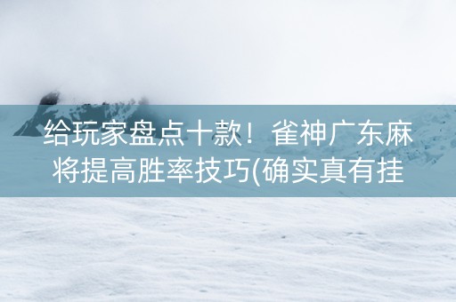 给玩家盘点十款！雀神广东麻将提高胜率技巧(确实真有挂)