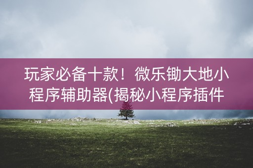 玩家必备十款！微乐锄大地小程序辅助器(揭秘小程序插件免费)
