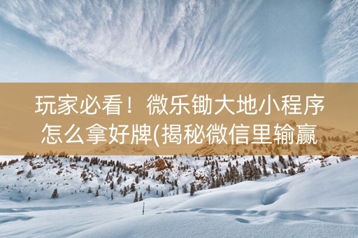 玩家必看！微乐锄大地小程序怎么拿好牌(揭秘微信里输赢规律)