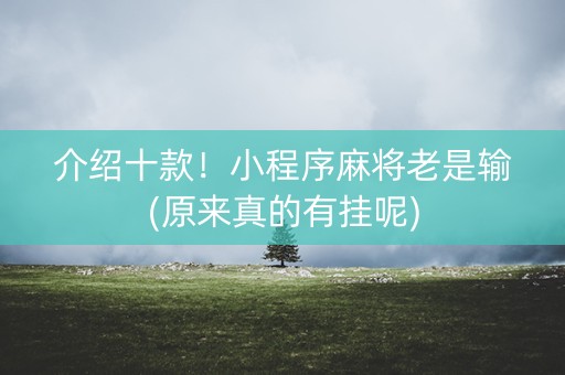 介绍十款！小程序麻将老是输(原来真的有挂呢)