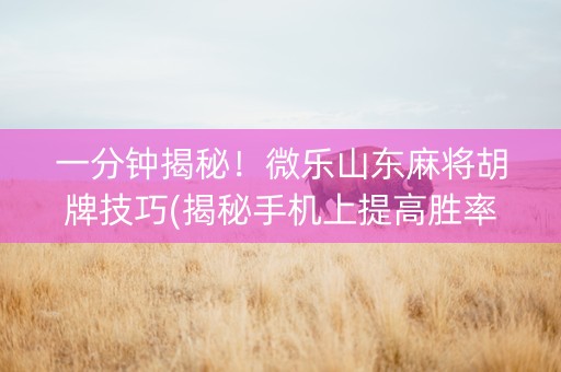 一分钟揭秘！微乐山东麻将胡牌技巧(揭秘手机上提高胜率)