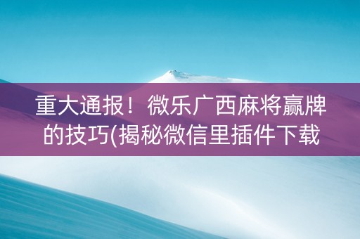 重大通报！微乐广西麻将赢牌的技巧(揭秘微信里插件下载)