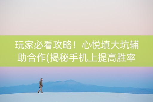 玩家必看攻略！心悦填大坑辅助合作(揭秘手机上提高胜率)