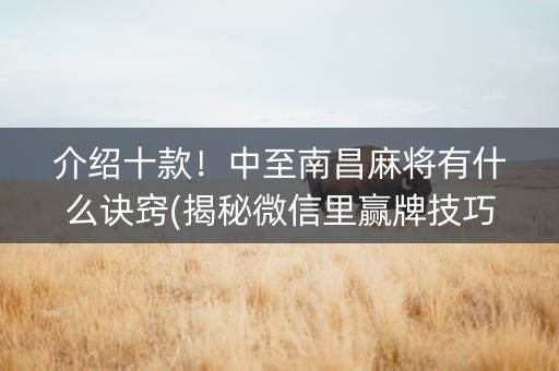 介绍十款！中至南昌麻将有什么诀窍(揭秘微信里赢牌技巧)