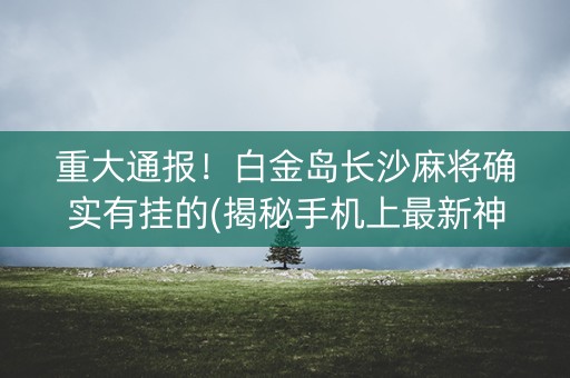 重大通报！白金岛长沙麻将确实有挂的(揭秘手机上最新神器下载)