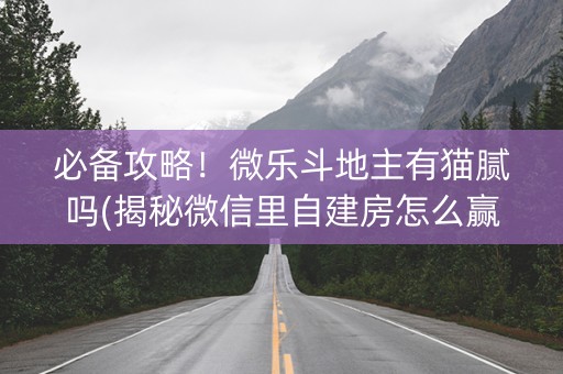 必备攻略！微乐斗地主有猫腻吗(揭秘微信里自建房怎么赢)