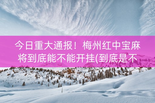 今日重大通报！梅州红中宝麻将到底能不能开挂(到底是不是有挂)