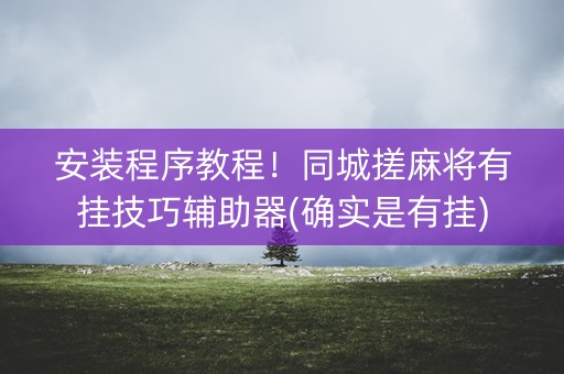 安装程序教程！同城搓麻将有挂技巧辅助器(确实是有挂)