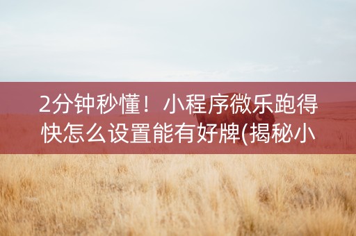2分钟秒懂！小程序微乐跑得快怎么设置能有好牌(揭秘小程序助赢软件)
