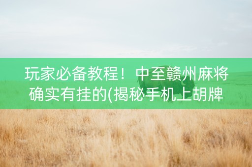 玩家必备教程！中至赣州麻将确实有挂的(揭秘手机上胡牌神器)