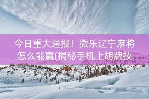 今日重大通报！微乐辽宁麻将怎么能赢(揭秘手机上胡牌技巧)