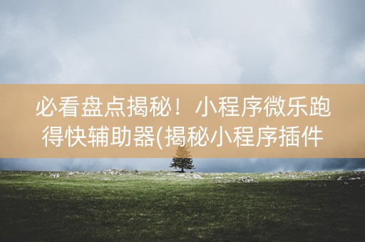 必看盘点揭秘！小程序微乐跑得快辅助器(揭秘小程序插件下载)