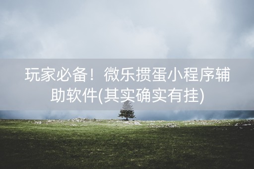玩家必备！微乐掼蛋小程序辅助软件(其实确实有挂)