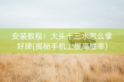 安装教程！大头十三水怎么拿好牌(揭秘手机上提高胜率)