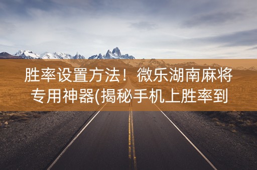 胜率设置方法！微乐湖南麻将专用神器(揭秘手机上胜率到哪调)