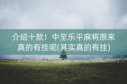 介绍十款！中至乐平麻将原来真的有挂呢(其实真的有挂)