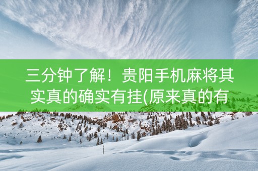 三分钟了解！贵阳手机麻将其实真的确实有挂(原来真的有挂)