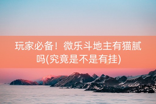 玩家必备！微乐斗地主有猫腻吗(究竟是不是有挂)
