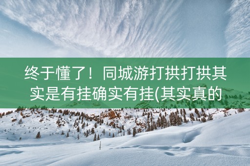 终于懂了！同城游打拱打拱其实是有挂确实有挂(其实真的有挂)