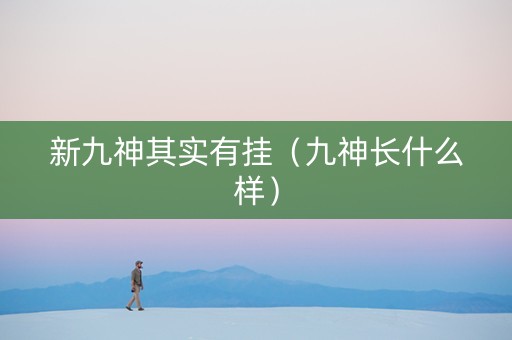 新九神其实有挂（九神长什么样）