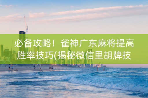 必备攻略！雀神广东麻将提高胜率技巧(揭秘微信里胡牌技巧)