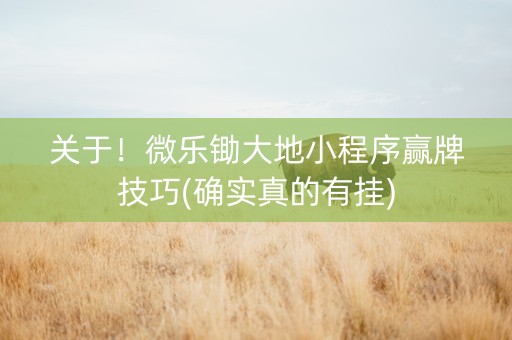 关于！微乐锄大地小程序赢牌技巧(确实真的有挂)