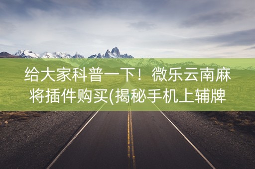 给大家科普一下！微乐云南麻将插件购买(揭秘手机上辅牌器)