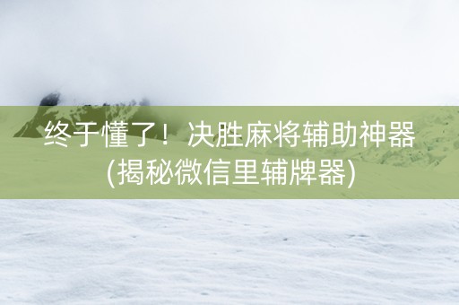 终于懂了！决胜麻将辅助神器(揭秘微信里辅牌器)