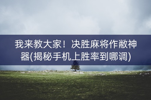 我来教大家！决胜麻将作敝神器(揭秘手机上胜率到哪调)