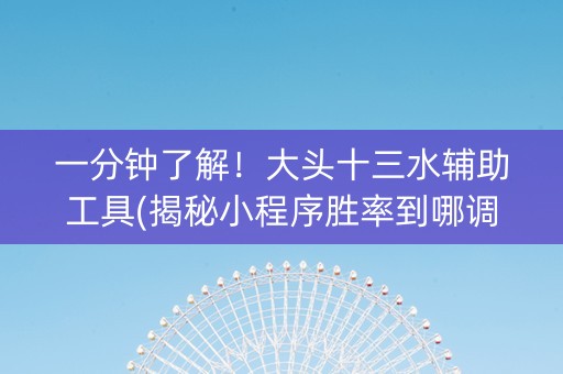 一分钟了解！大头十三水辅助工具(揭秘小程序胜率到哪调)