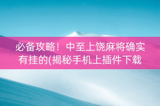 必备攻略！中至上饶麻将确实有挂的(揭秘手机上插件下载)