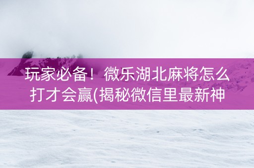 玩家必备！微乐湖北麻将怎么打才会赢(揭秘微信里最新神器下载)