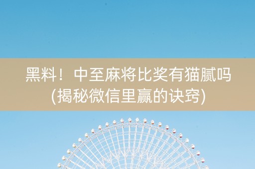 黑料！中至麻将比奖有猫腻吗(揭秘微信里赢的诀窍)