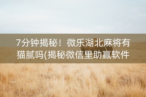 7分钟揭秘！微乐湖北麻将有猫腻吗(揭秘微信里助赢软件)
