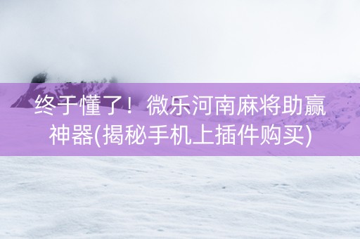 终于懂了！微乐河南麻将助赢神器(揭秘手机上插件购买)