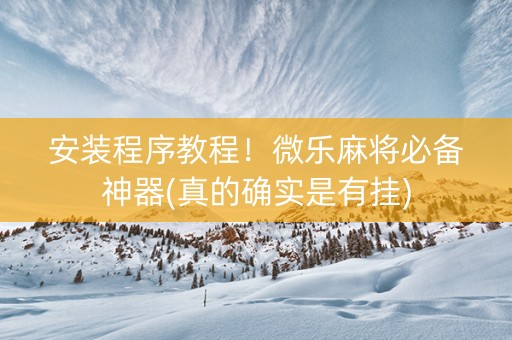 安装程序教程！微乐麻将必备神器(真的确实是有挂)